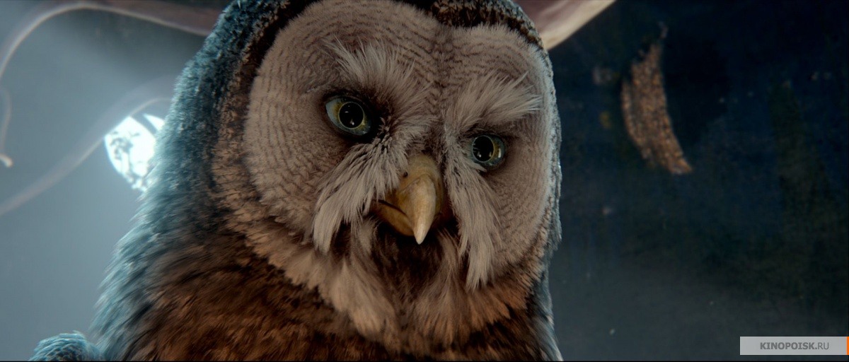 kinopoisk.ru-Legend-of-the-Guardians_3A-The-Owls-of-Ga_92Hoole-1378216.jpg