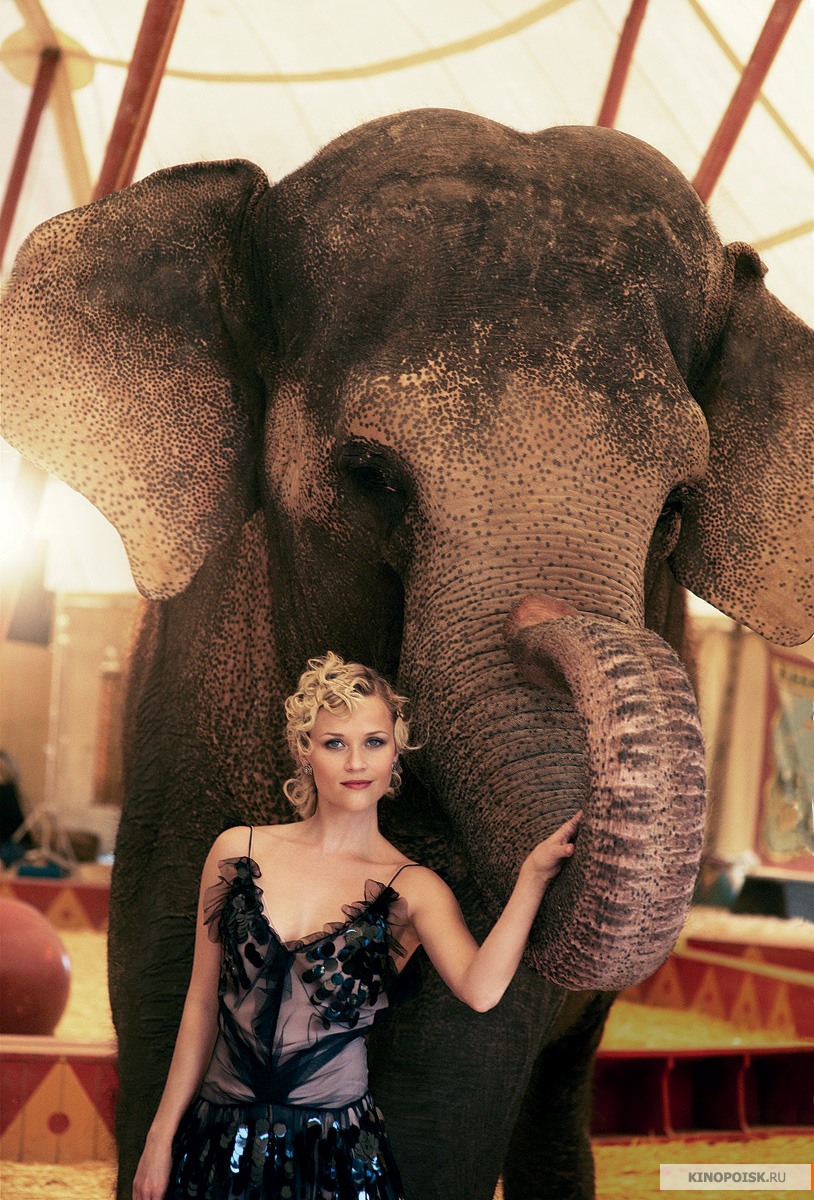 Воды слонам! (Water for Elephants)
