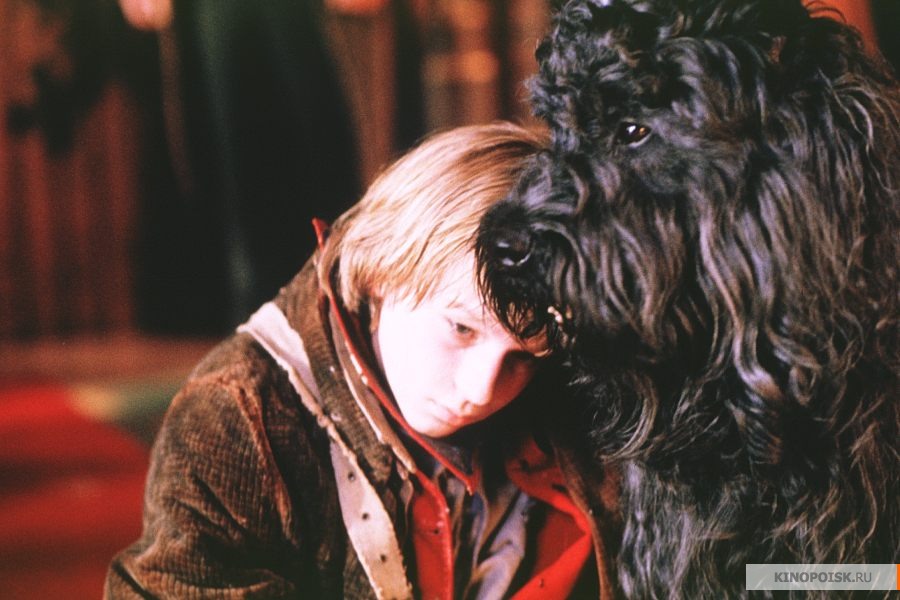 http://st.kinopoisk.ru/im/kadr/3/3/6/kinopoisk.ru-A-Dog-of-Flanders-3360.jpg