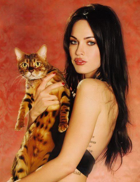 megan fox. Pictures Gallery MEGAN FOX