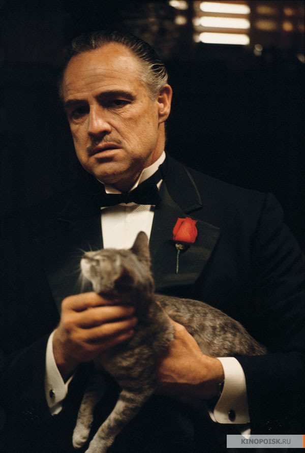 kinopoisk.ru-Godfather_2C-The-949002.jpg