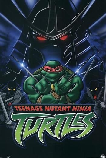 teenage mutant ninja turtles 2003 mkv