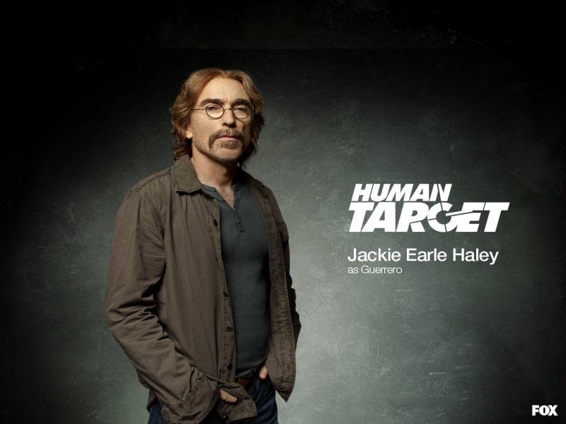 kinopoisk.ru-Human-Target-1451554--w--800.jpg
