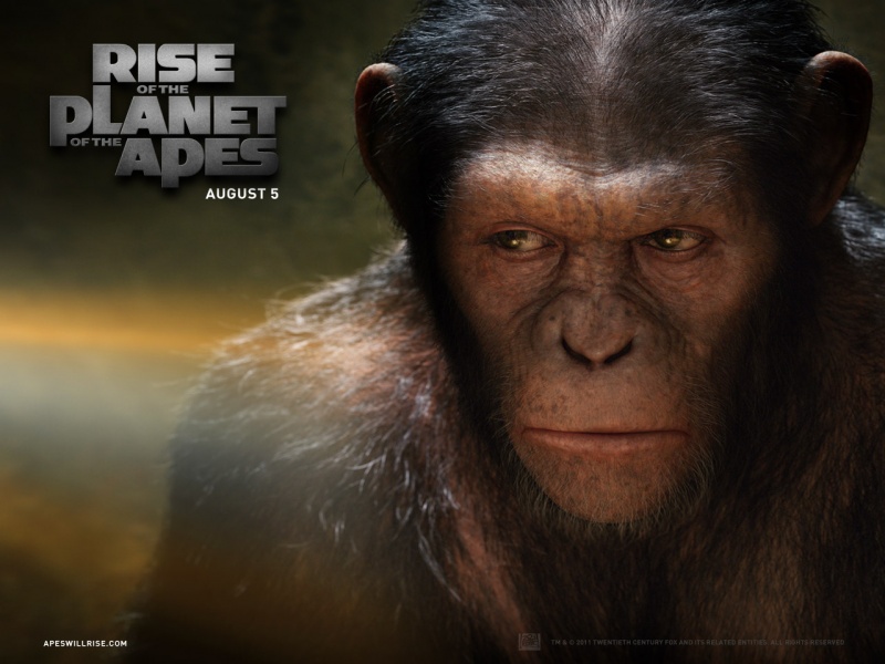 kinopoisk.ru-Rise-of-the-Planet-of-the-Apes-1635002--w--800.jpg