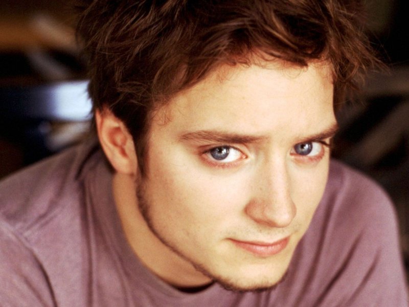 http://st.kinopoisk.ru/im/wallpaper/4/1/6/kinopoisk.ru-Elijah-Wood-416327--w--800.jpg