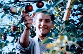 Правила виноделов
