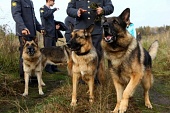 Рассказы