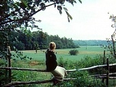 Зеркало