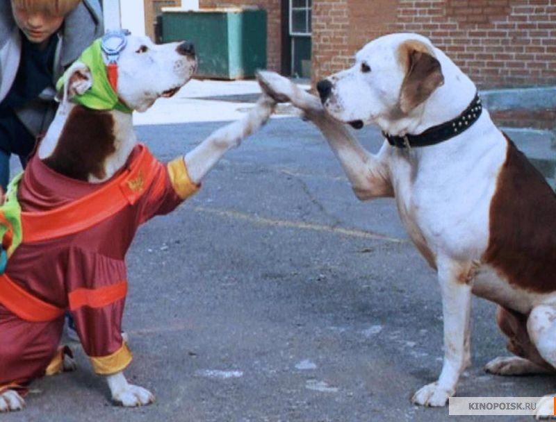 kinopoisk.ru-Pooch-and-the-Pauper_2C-The-1391166.jpg