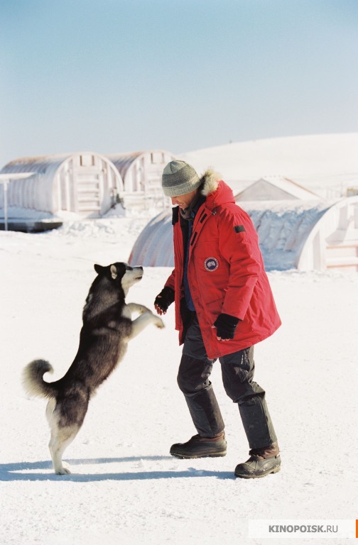 kinopoisk.ru-Eight-Below-1664574.jpg