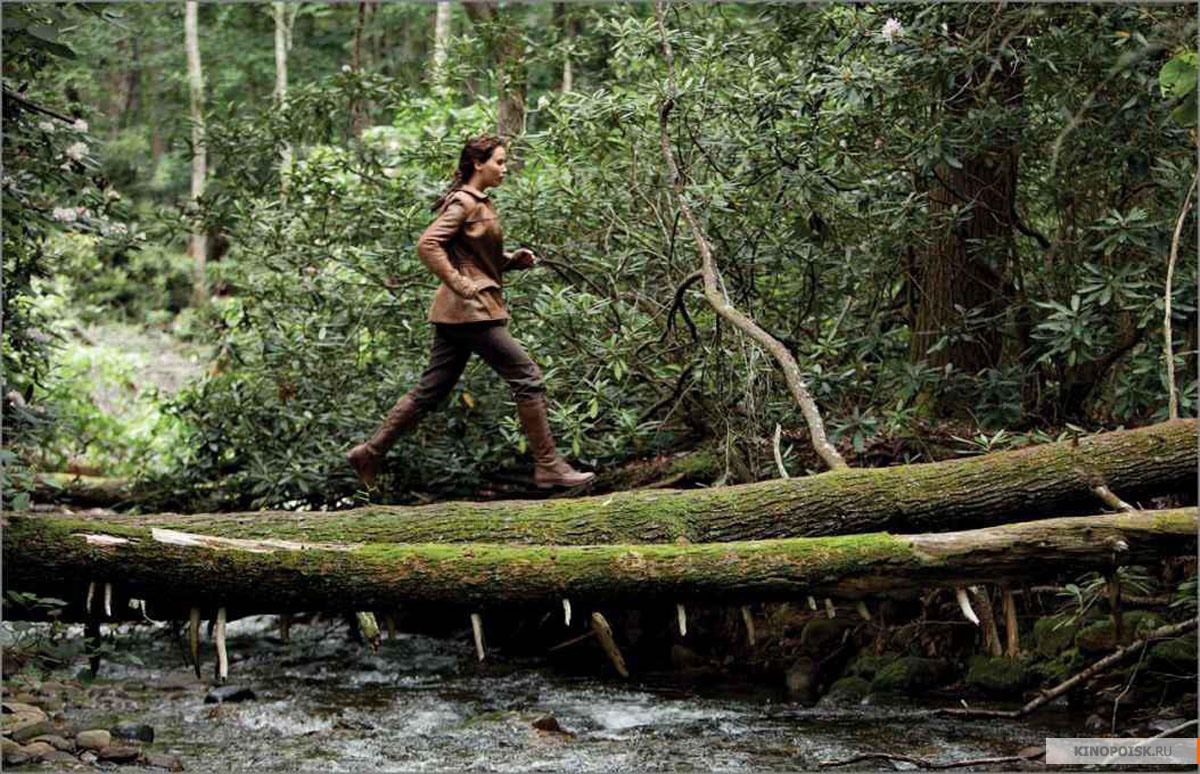 Голодные игры (Hunger Games, The) 