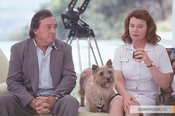 Два дня в долине (2 Days in the Valley)