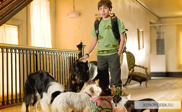 kinopoisk.ru-Hotel-for-Dogs-721449.jpg