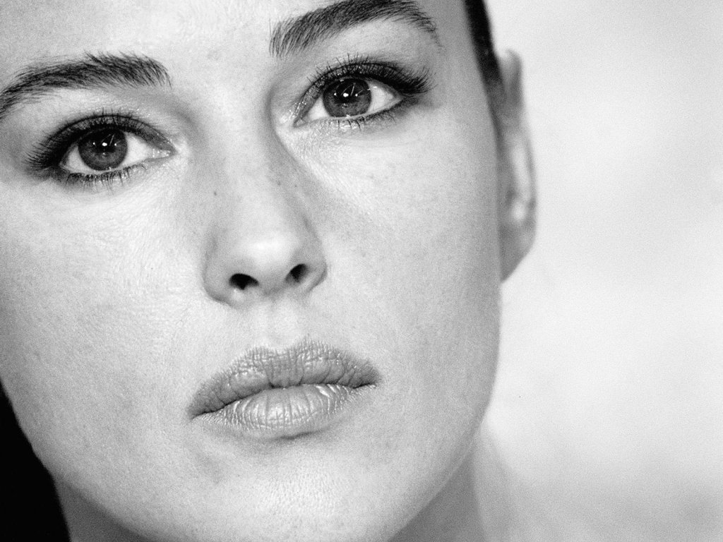 http://st.kinopoisk.ru/im/wallpaper/7/7/7/kinopoisk.ru-Monica-Bellucci-777885--w--1024.jpg